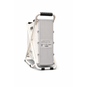 ecoPowerBank Swiss